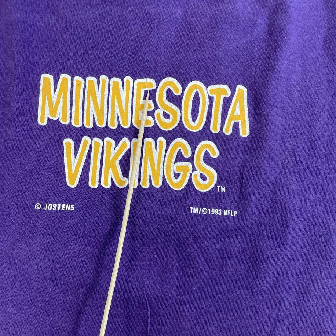 Vintage Taz Minnesota Vikings T-Shirt Size XL 90s NFL