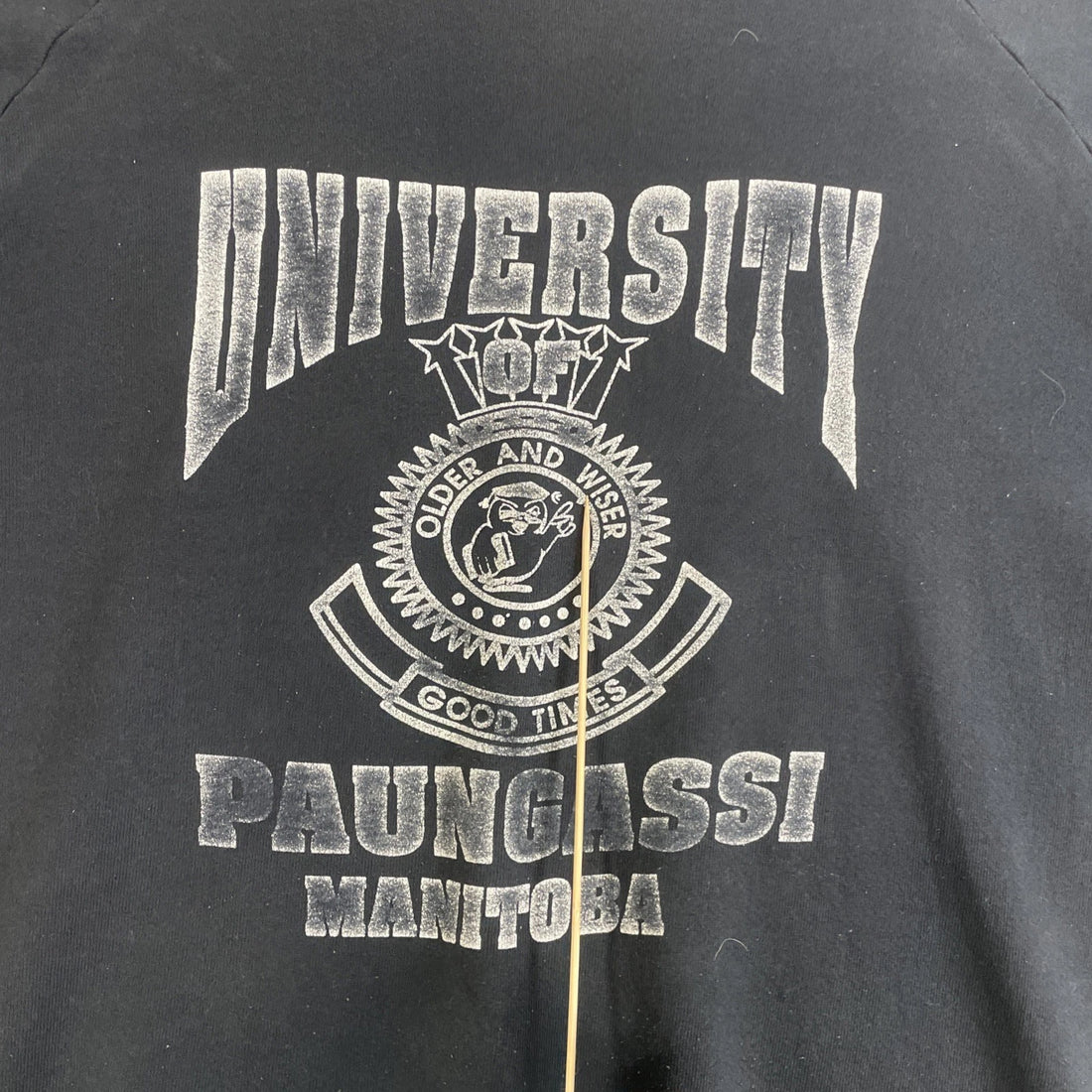 Vintage University Paungassi Manitoba Crest Crewneck Sweatshirt Size XL