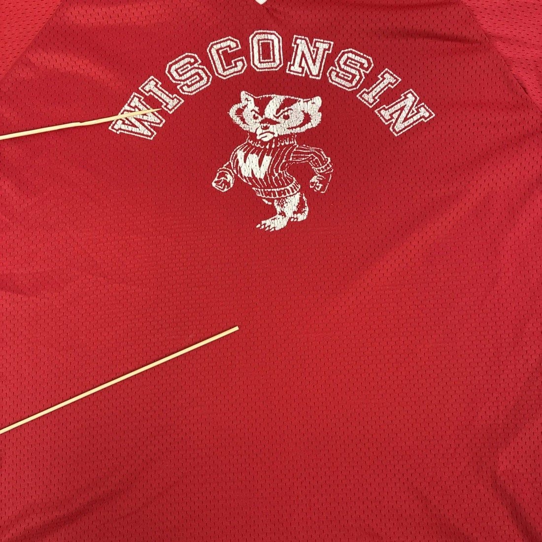 Vintage Wisconsin Badgers Champion Jersey Size Large 70s NCAA