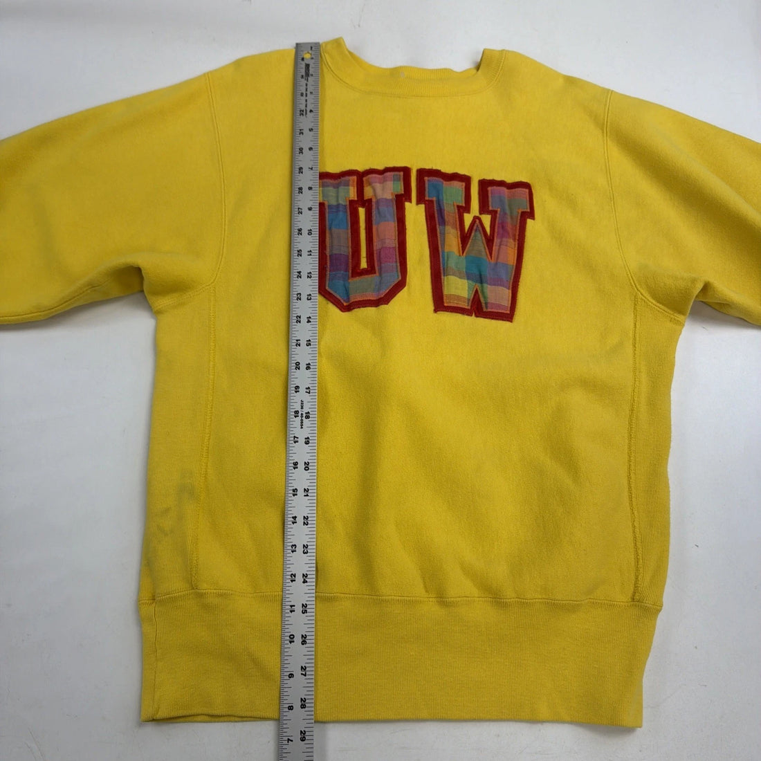 Vintage UW Champion Reverse Weave Crewneck Sweatshirt Size Large 90s