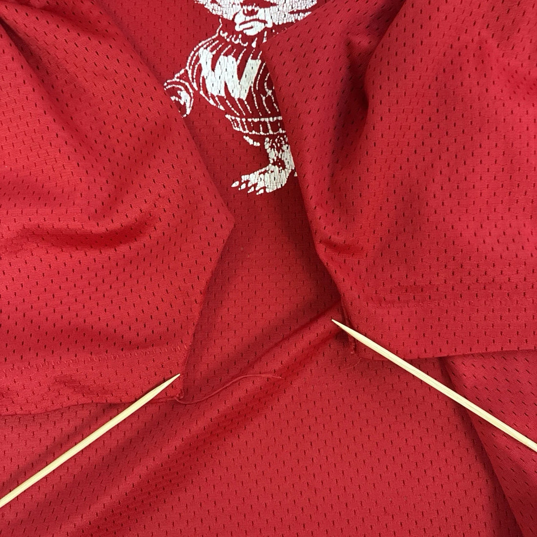 Vintage Wisconsin Badgers Champion Jersey Size Large 70s NCAA