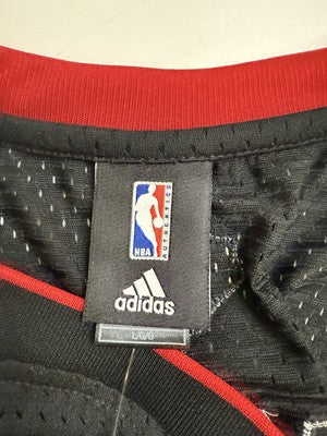 Toronto Raptors Adidas Swingman Jersey Size Large NBA NWT