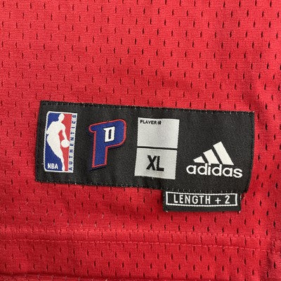 Vintage Detroit Pistons Richard Hamilton Adidas Swingman Jersey Size XL NBA