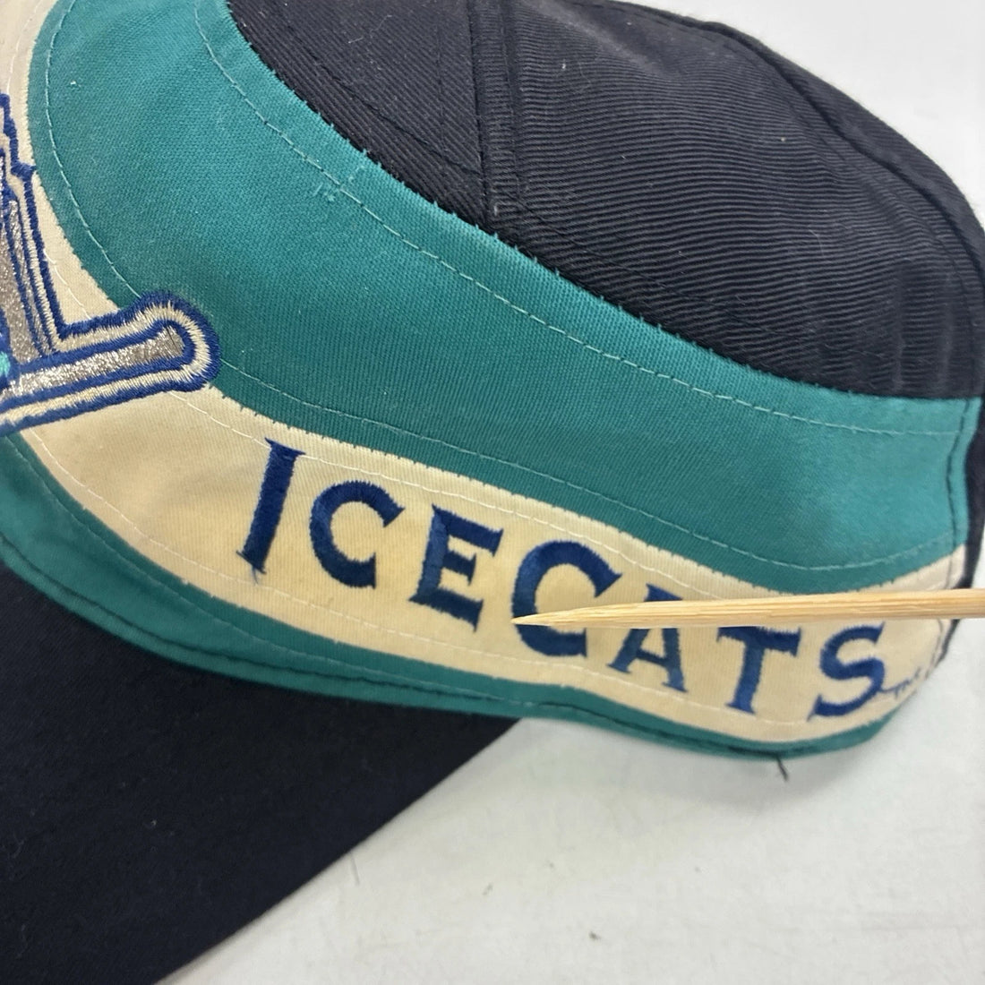 Vintage Worcester Icecats Hockey Twins Enterprise Snapback Hat OSFA AHL