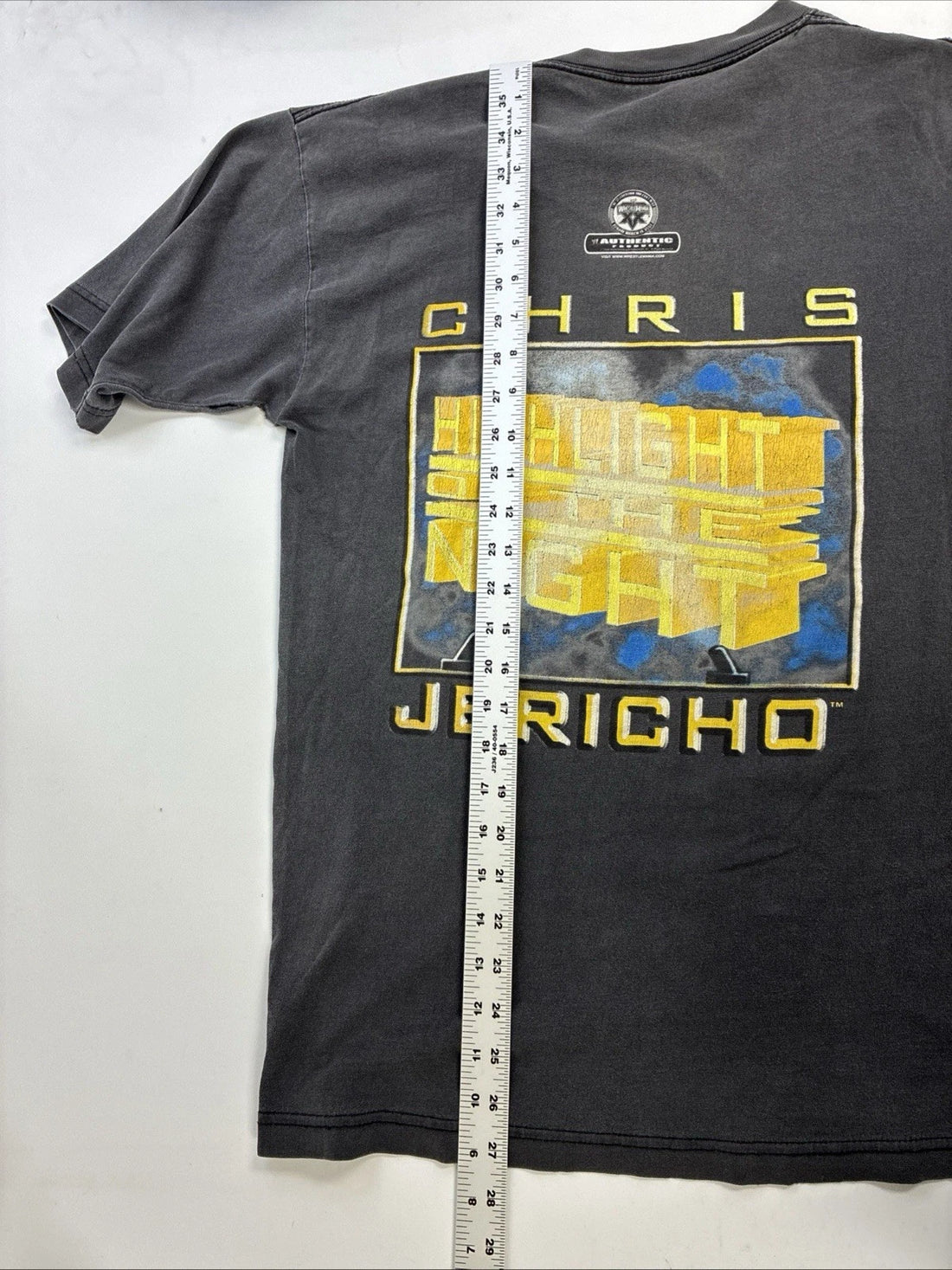 Vintage Chris Jericho Wrestling T-Shirt Size Medium WWE