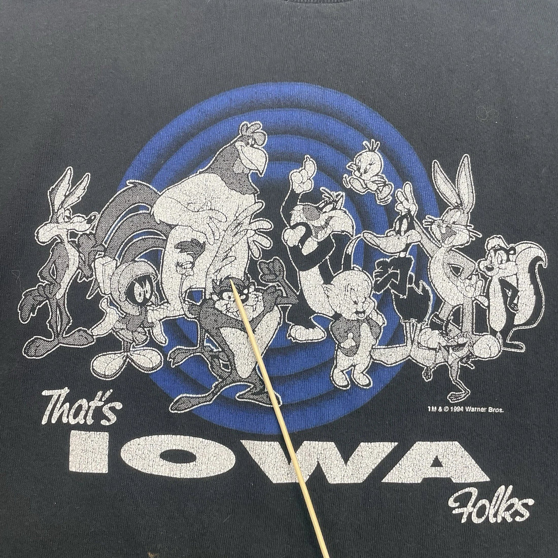 Vintage Looney Tunes IOWA Sweatshirt Crewneck Size XL Cartoon 1994 90s