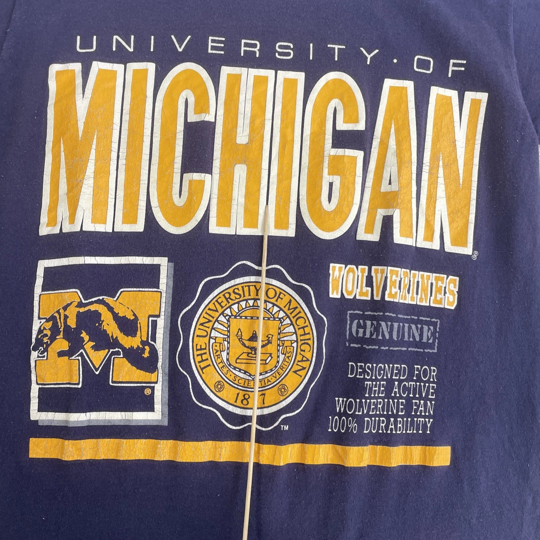 Vintage Michigan Wolverines T-Shirt Size Medium 90s NCAA