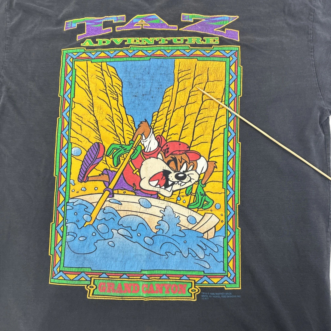 Vintage Taz Adventure Grand Canyon T-Shirt Size Large 1995 90s