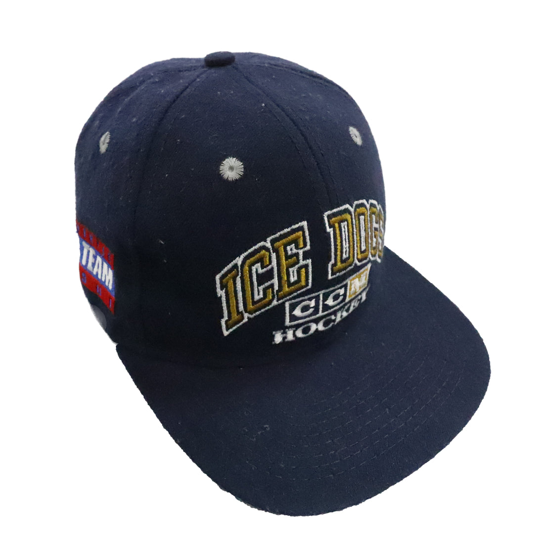 Vintage Long Beach Ice Dogs CCM Hockey Snapback Hat OSFA IHL