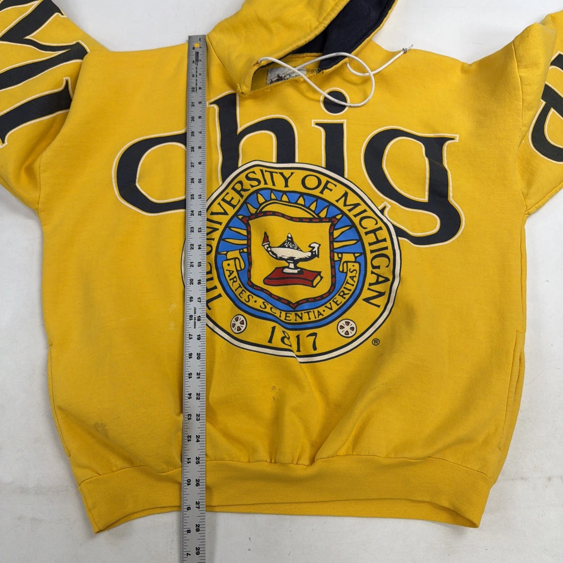 Vintage Michigan Wolverines Spell Out Sweatshirt Hoodie Size XL 90s NCAA