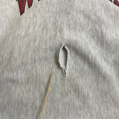Vintage Wesleyan Champion Reverse Weave Crewneck Sweatshirt Large Distressed 90s