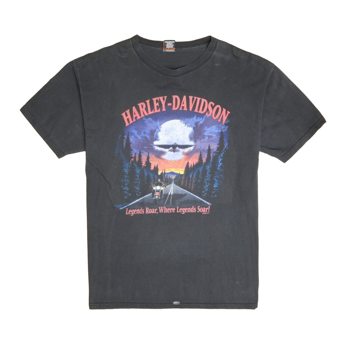 Vintage Harley Davidson Legends Roar Soar T-Shirt Size XL Black 2002