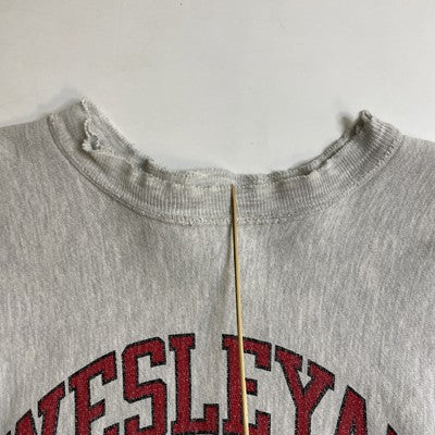 Vintage Wesleyan Champion Reverse Weave Crewneck Sweatshirt Large Distressed 90s