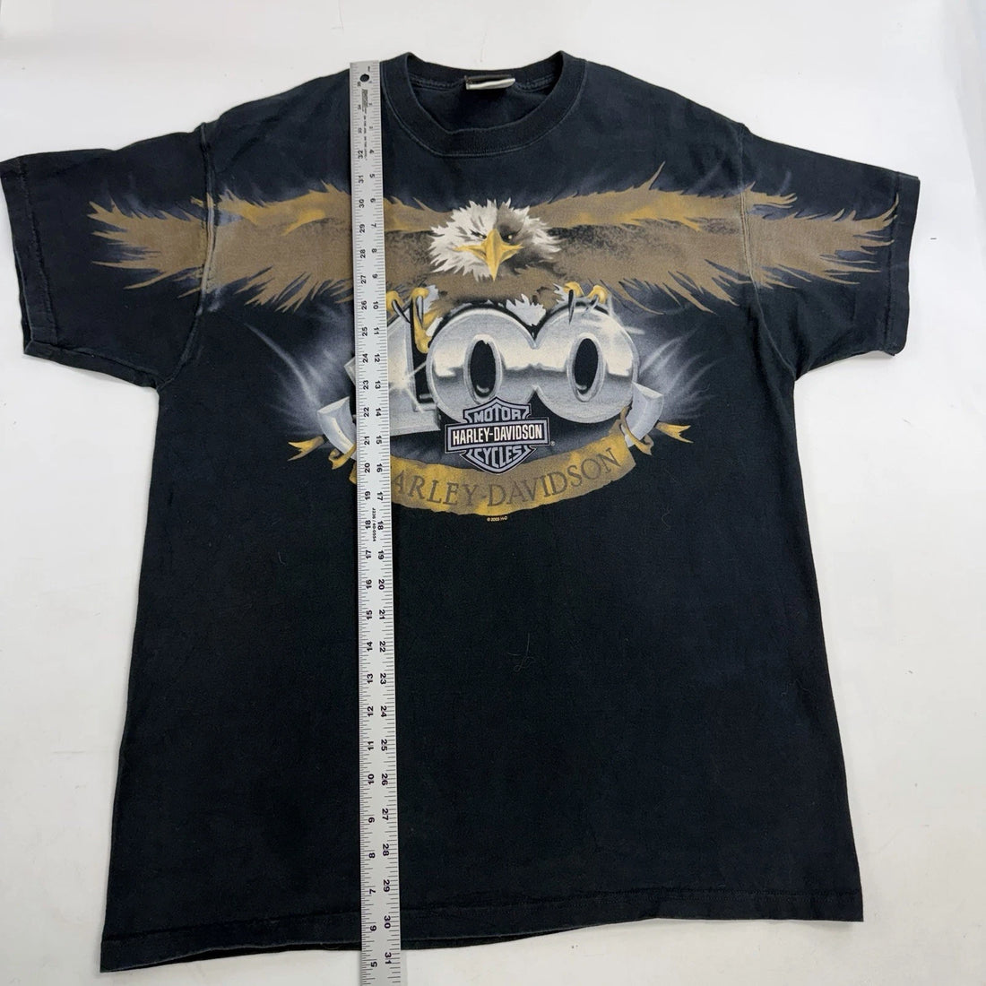 Vintage Harley Davison Eagle 100 T-Shirt Size XL 2003 Y2K