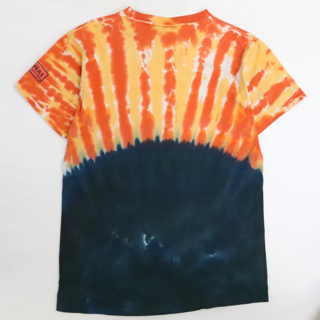 Vintage Dinosaur Disney Tie Dye T-Shirt Size Small