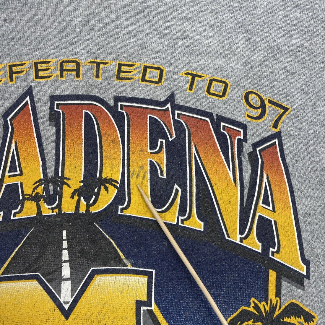 Vintage Michigan Wolverines Undefeated To Pasadena Sweatshirt Size XL NCAA