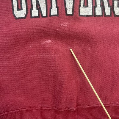 Vintage Temple University Champion Reverse Weave Crewneck Sweatshirt Large 90s