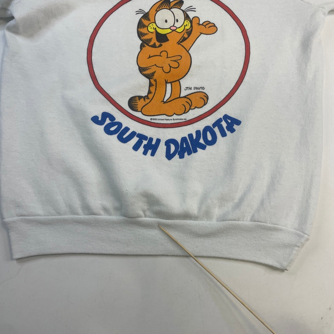 Vintage Garfield Another Day In South Dakota Crewneck Sweatshirt Size Small