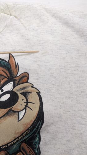 Vintage Taz Ice Devils Hockey Sweatshirt Medium Looney Tunes 1994 90s