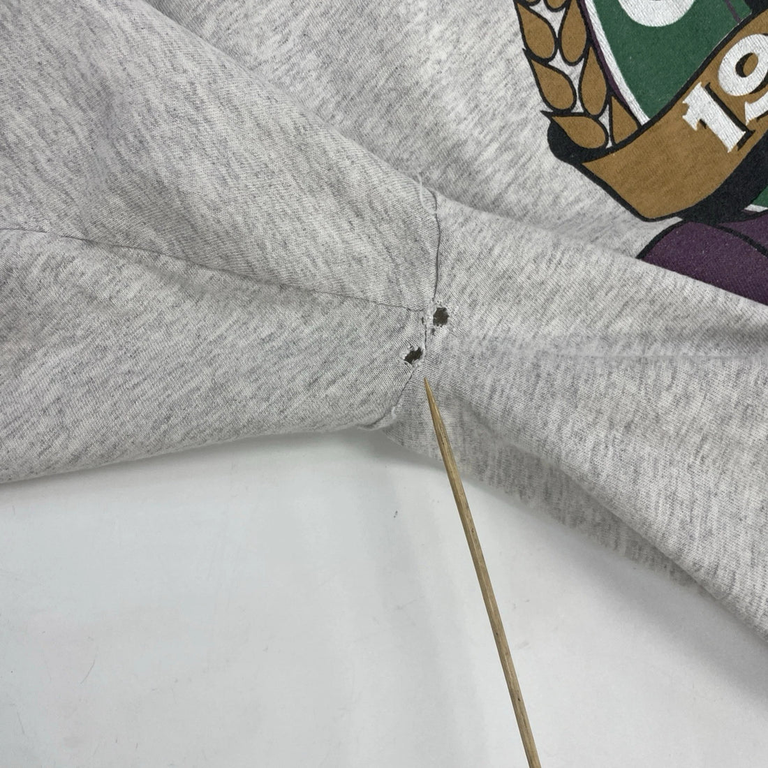 Vintage Saskatchewan Grey Cup T-Shirt Size XL 1995 90s CFL