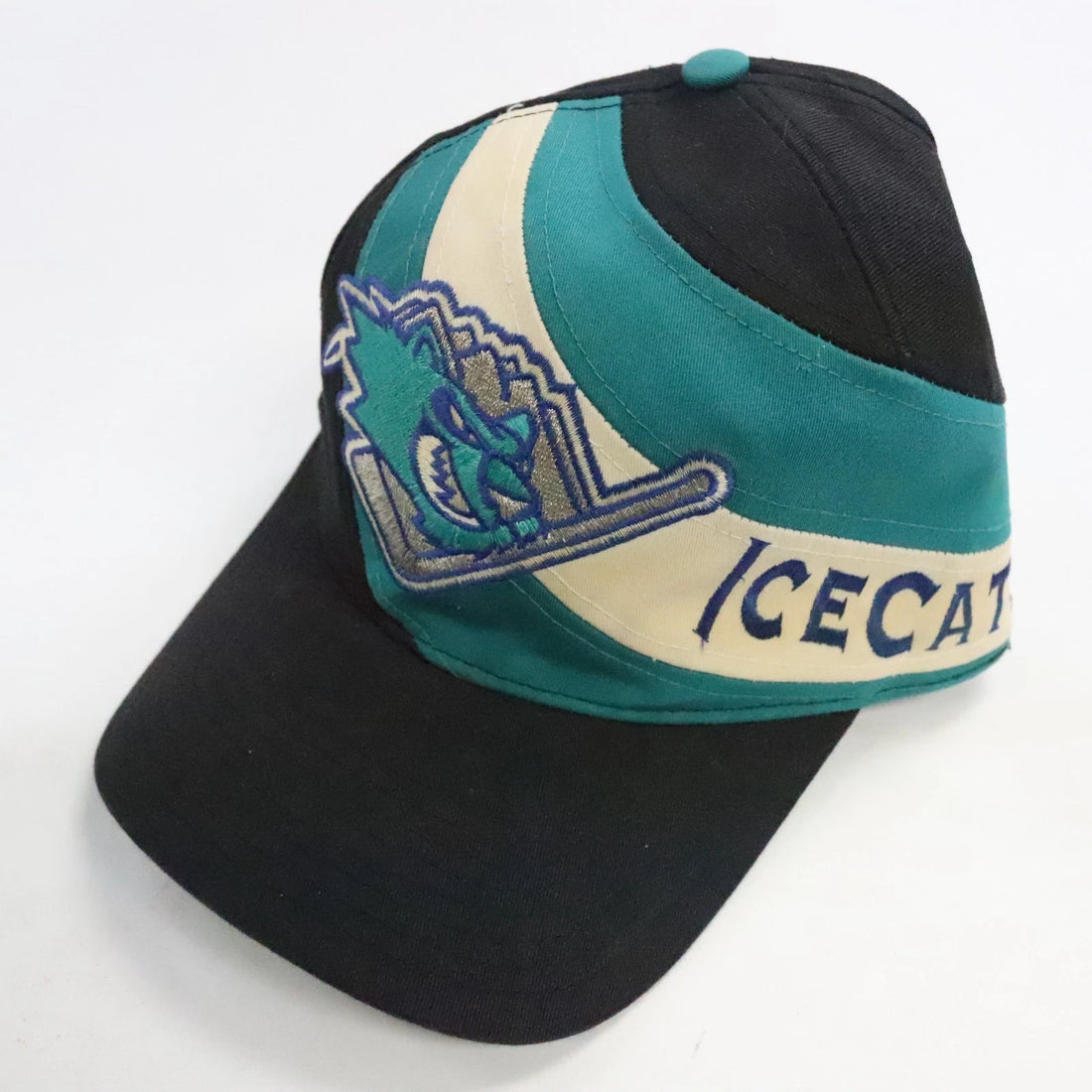 Vintage Worcester Icecats Hockey Twins Enterprise Snapback Hat OSFA AHL
