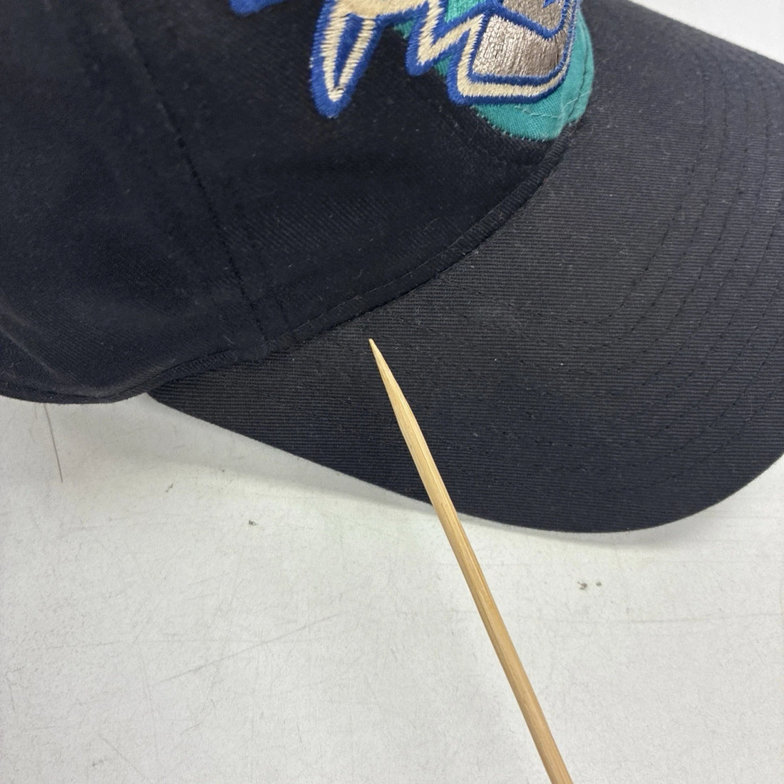 Vintage Worcester Icecats Hockey Twins Enterprise Snapback Hat OSFA AHL