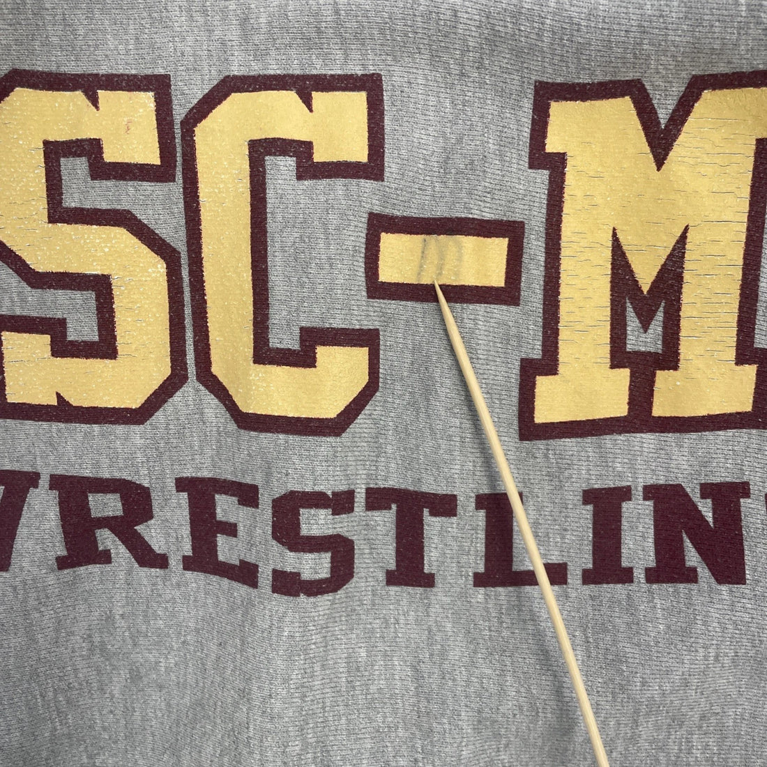 Vintage SC-M Wrestling Champion Reverse Weave Sweatshirt Hoodie Size Large