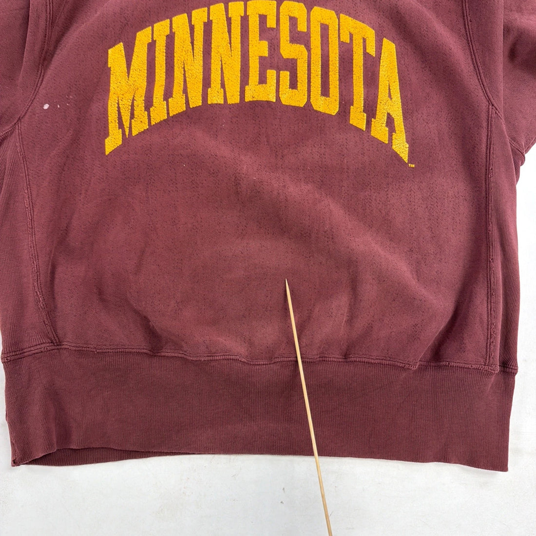 Vintage Minnesota Golden Gophers Champion Crewneck Sweatshirt Large 90s NCAA