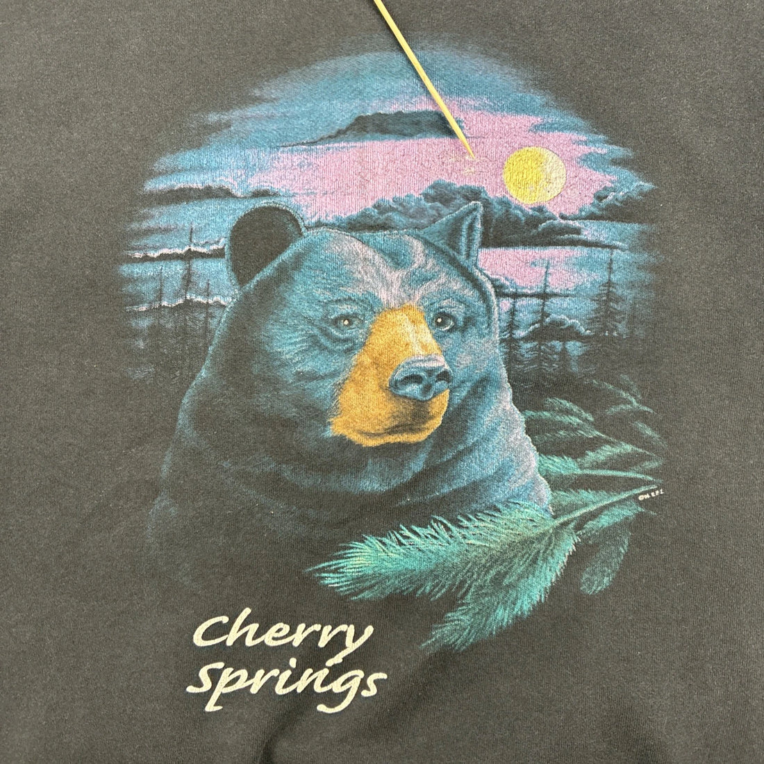 Vintage Cherry Springs Bear Crewneck Sweatshirt Size XL Nature