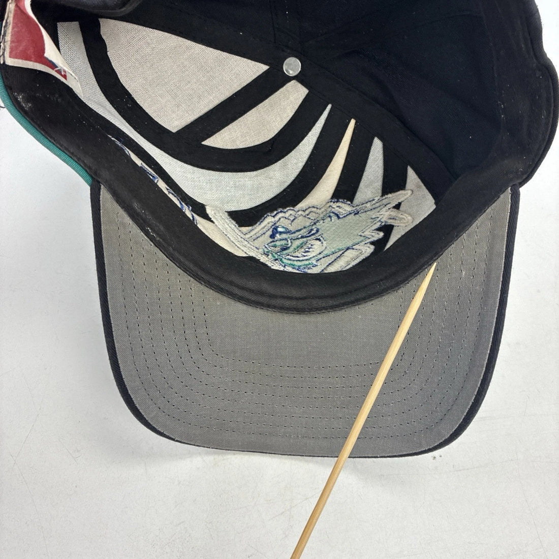 Vintage Worcester Icecats Hockey Twins Enterprise Snapback Hat OSFA AHL