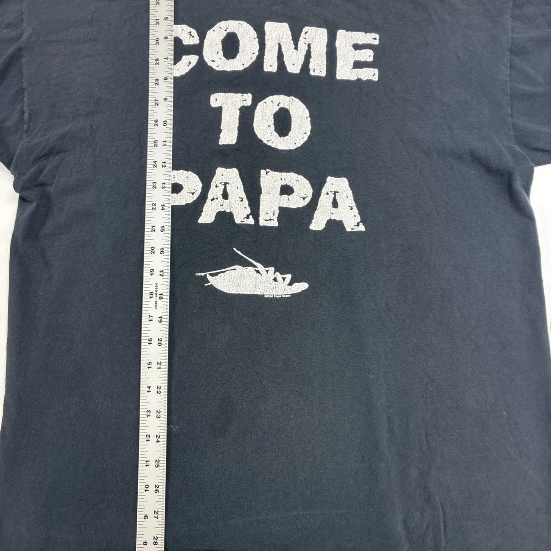 Vintage Papa Roach Infest Come To Papa T-Shirt Size XL Band Tee 2000