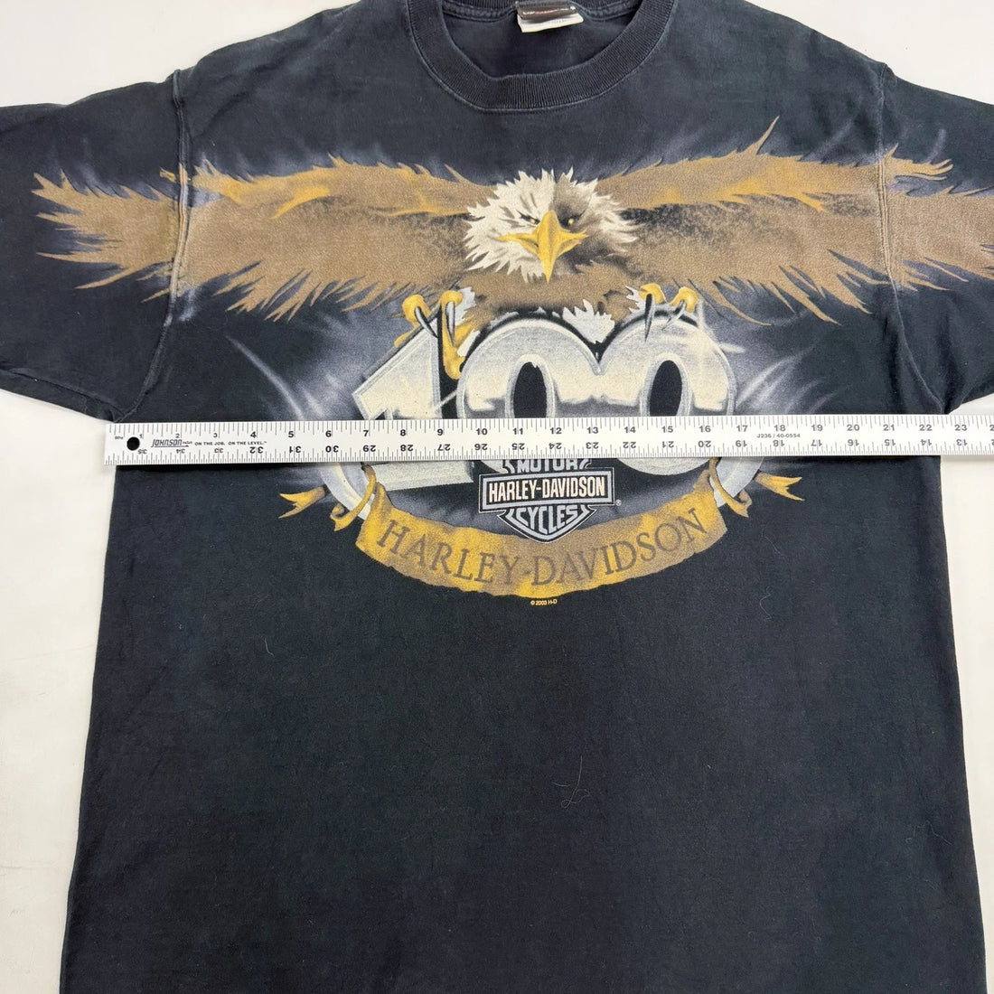 Vintage Harley Davison Eagle 100 T-Shirt Size XL 2003 Y2K