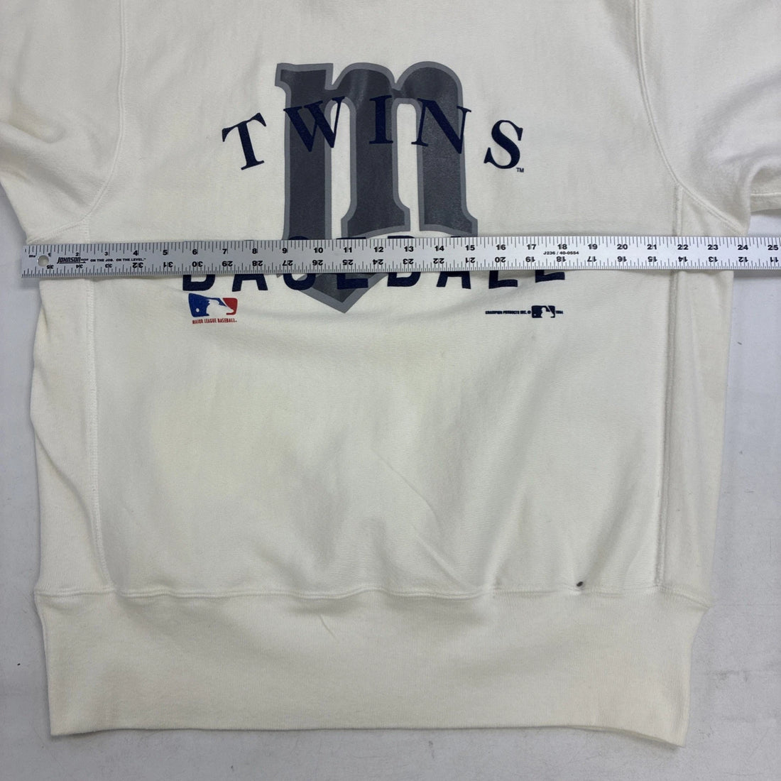 Vintage Minnesota Twins Champion Reverse Weave Sweatshirt Size Large 90s MLB