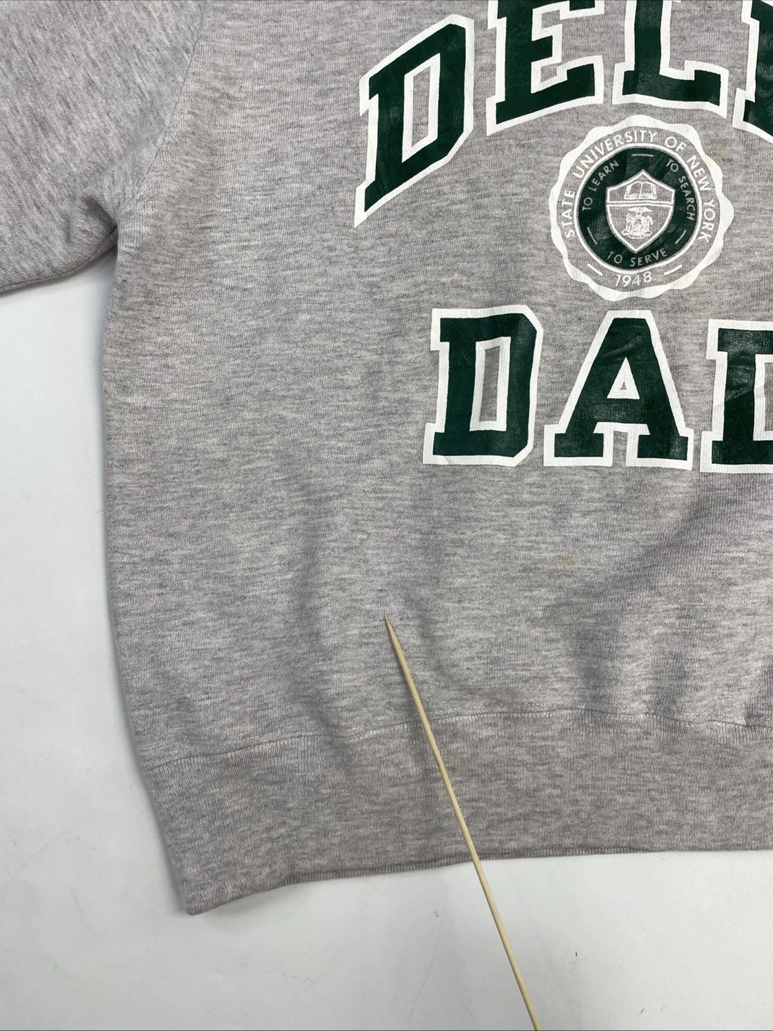 Vintage Delhi Dad Crest Champion Crewneck Sweatshirt Size XL 80s