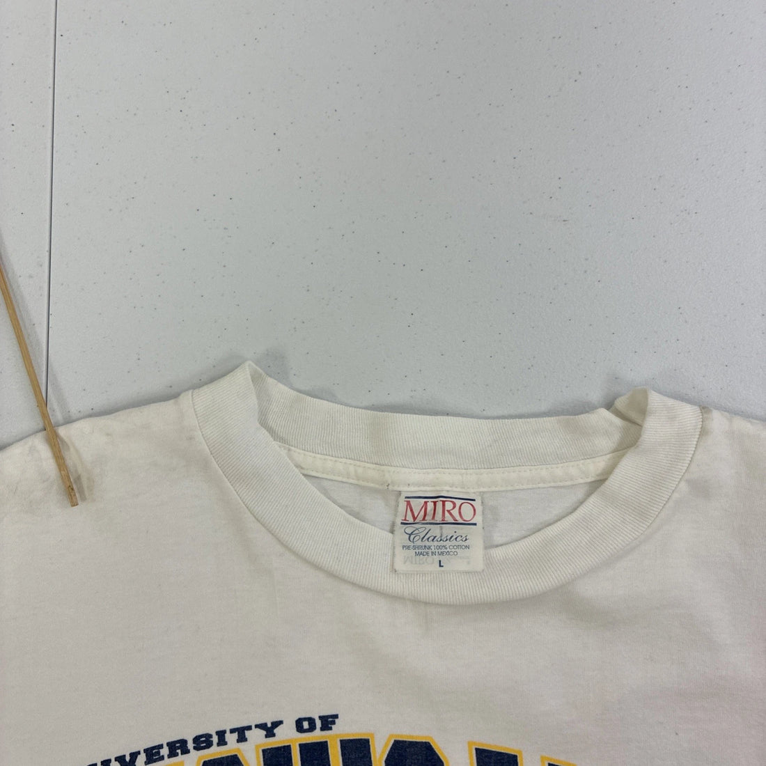 Vintage Michigan Wolverines Fanatic T-Shirt Size Large 90s NCAA