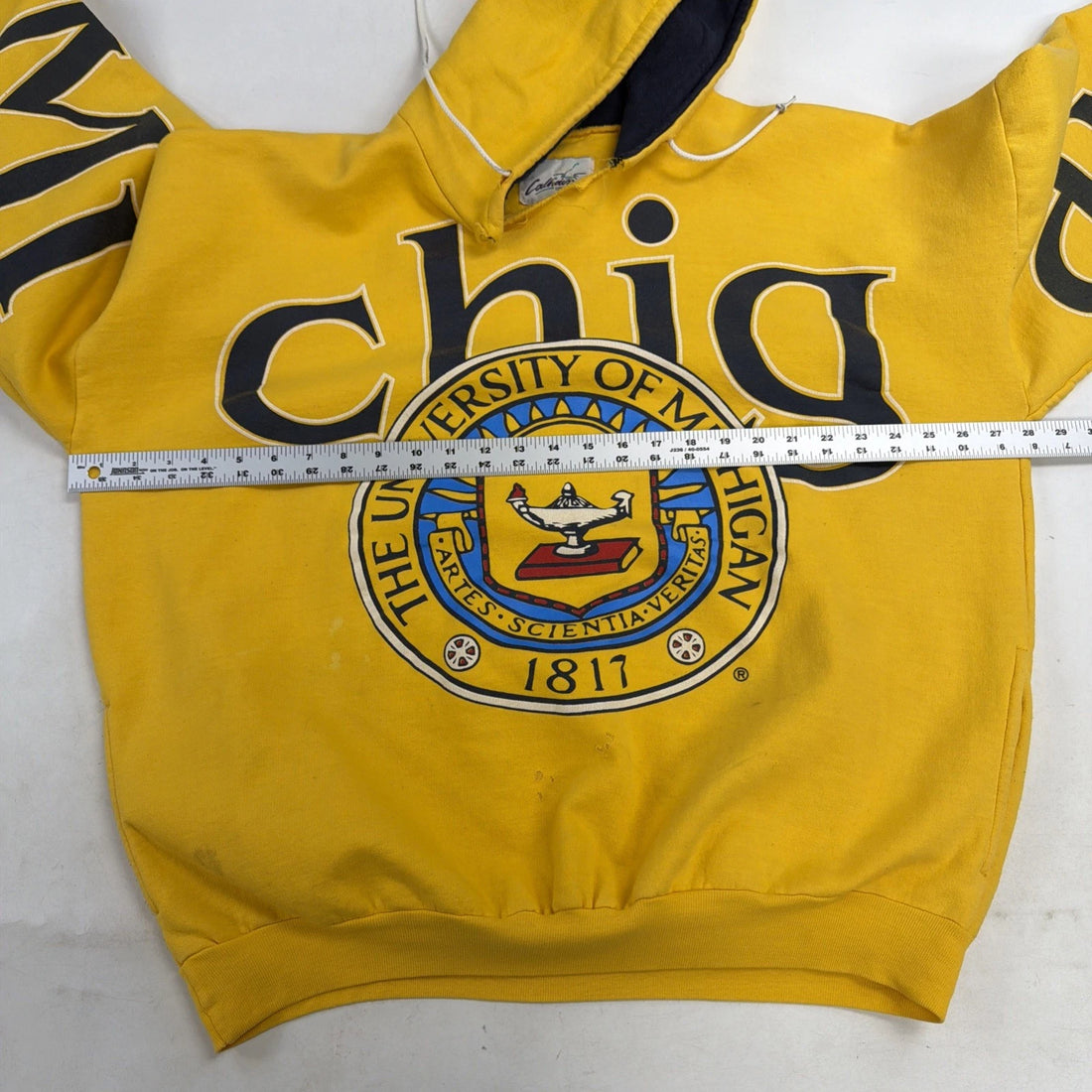 Vintage Michigan Wolverines Spell Out Sweatshirt Hoodie Size XL 90s NCAA