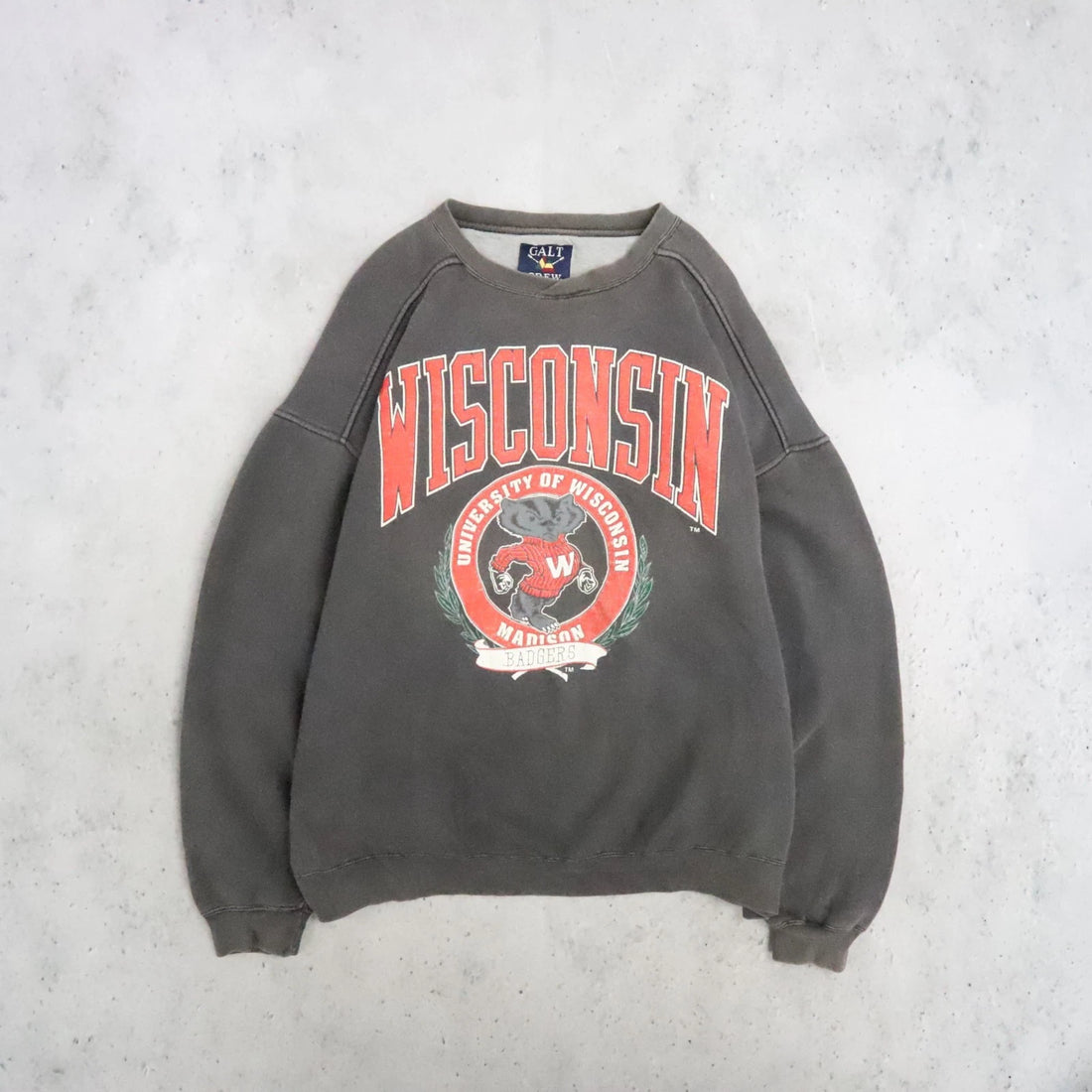 Vintage Wisconsin Badgers Crest Sweatshirt Size XL NCAA
