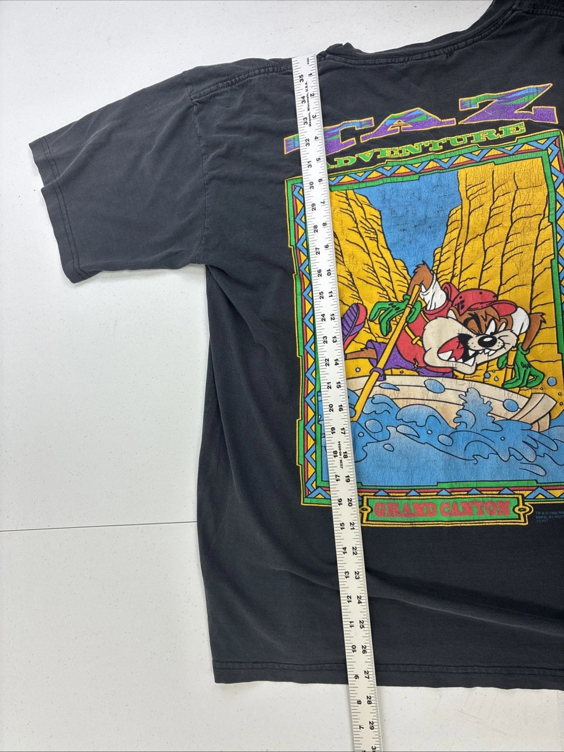 Vintage Taz Adventure Grand Canyon T-Shirt Size Large 1995 90s