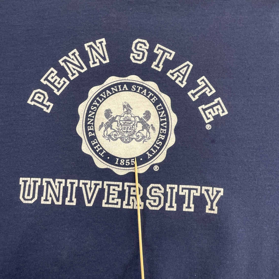 Vintage Penn State Nittany Lions Crewneck Sweatshirt Size Large NCAA