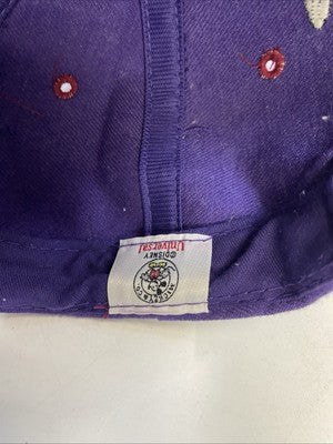Vintage Mickey Mouse Disney Snapback Hat Cap OSFA