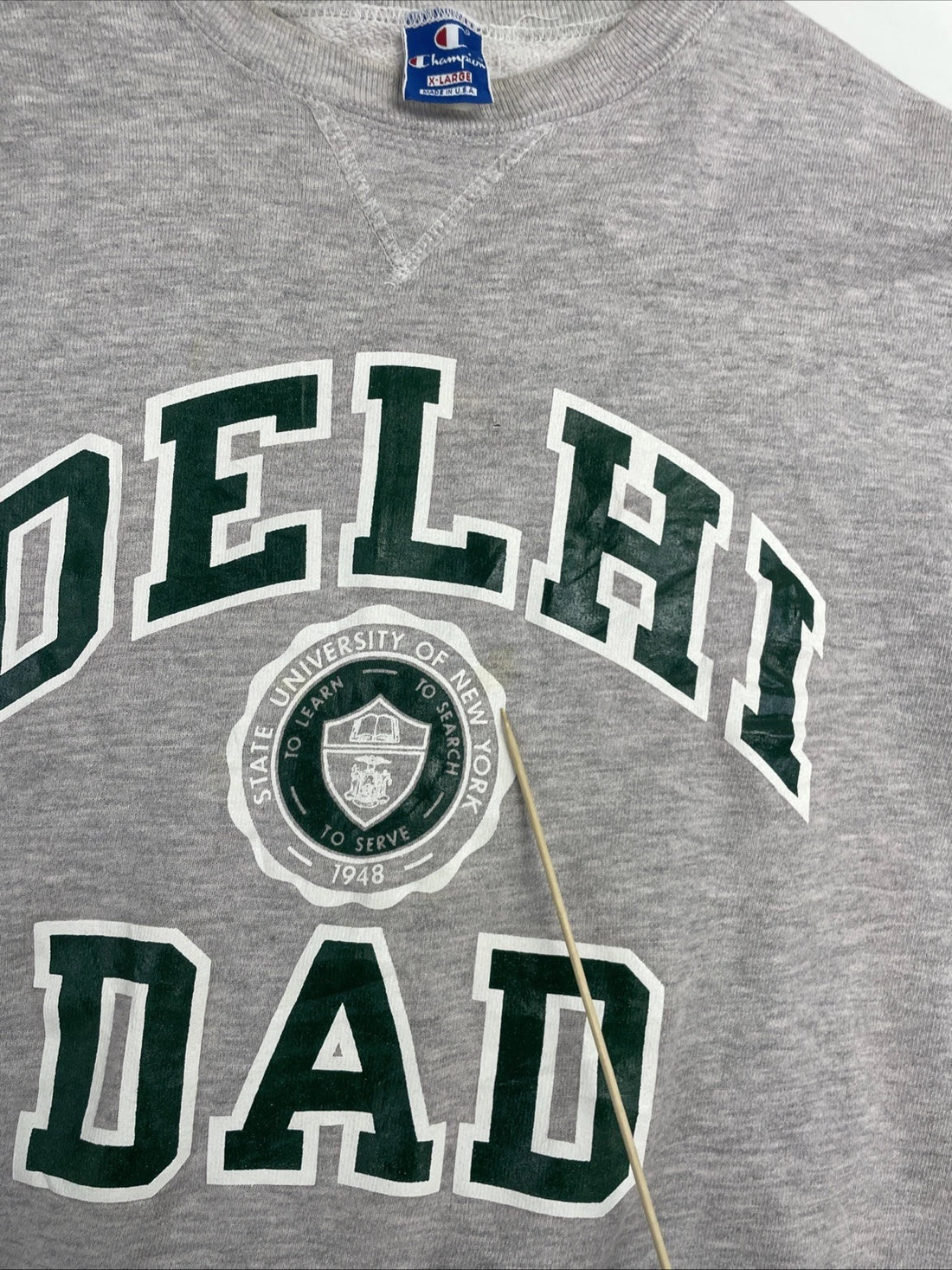 Vintage Delhi Dad Crest Champion Crewneck Sweatshirt Size XL 80s