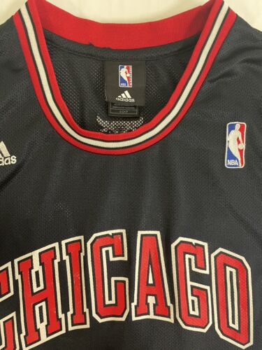 Kirk hinrich jersey on sale