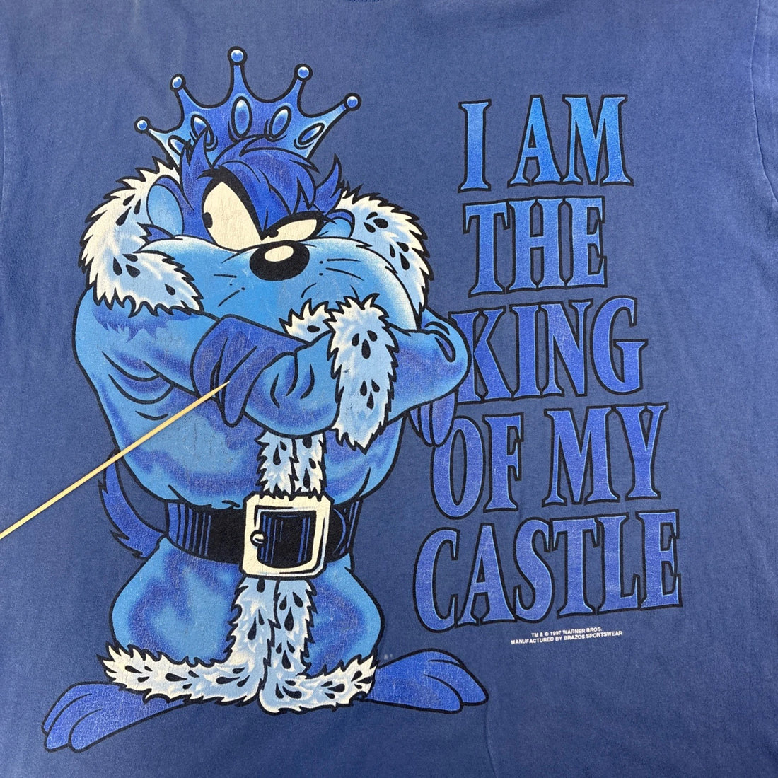 Vintage Taz King Of My Castle Looney Tunes T-Shirt Size XL 1997 90s