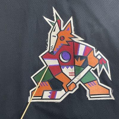 Vintage Phoenix Coyotes CCM Jersey Size Large Kachina NHL