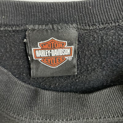 Harley Davidson Motorcycles Fire Eagle Sweatshirt Large Sleeve Spell Out