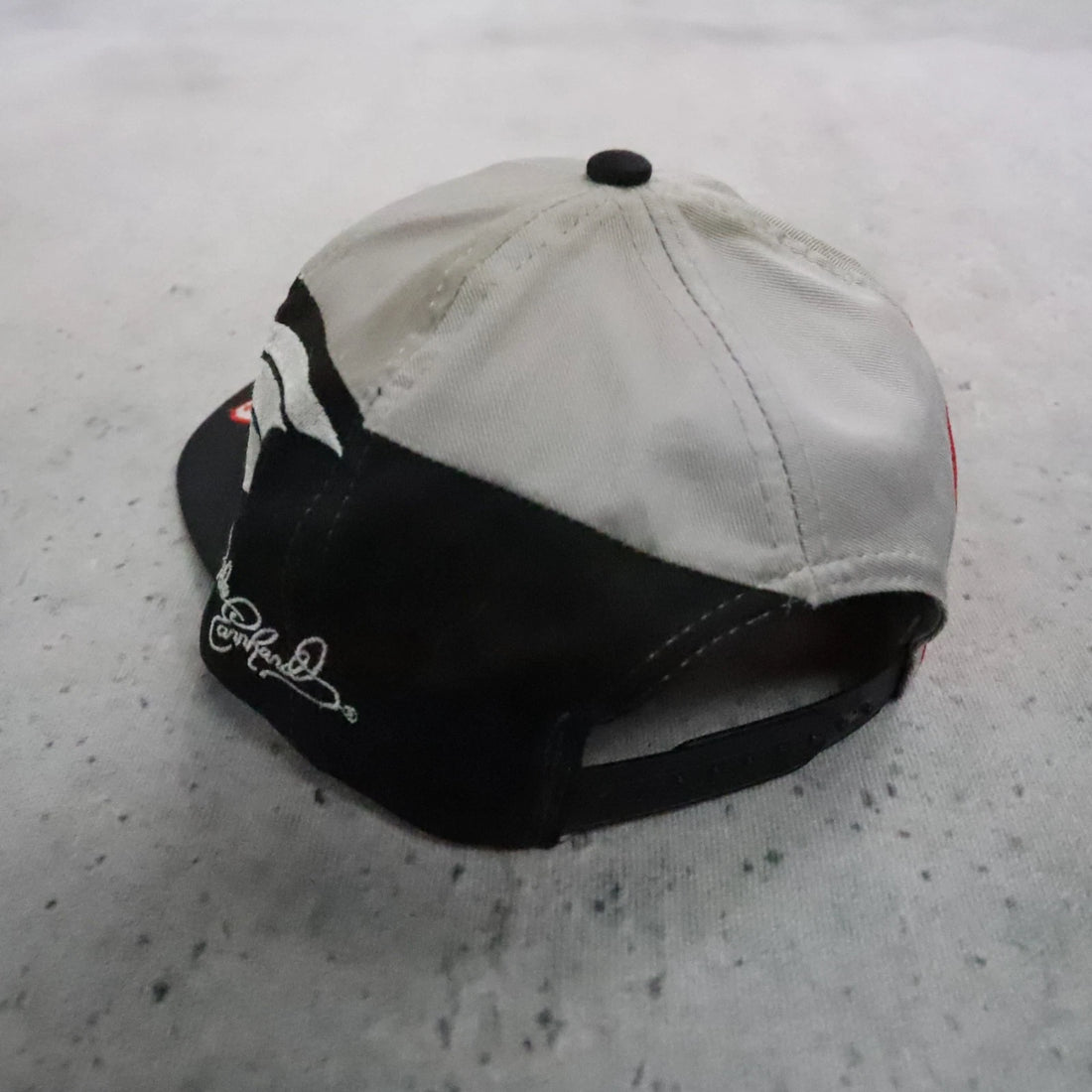 Vintage Dale Earnhardt 50th Anniversary Racing Snapback Hat OSFA NASCAR