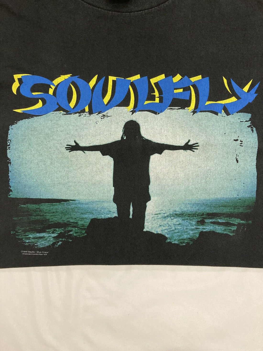 Vintage 1998 Soulfly Album Blue Grape T-Shirt XL 90s Heavy Metal Rock Band Tee